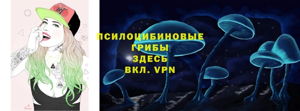 гидра Вуктыл