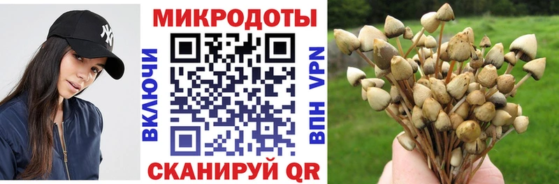 Псилоцибиновые грибы GOLDEN TEACHER  omg ссылка  Еманжелинск 