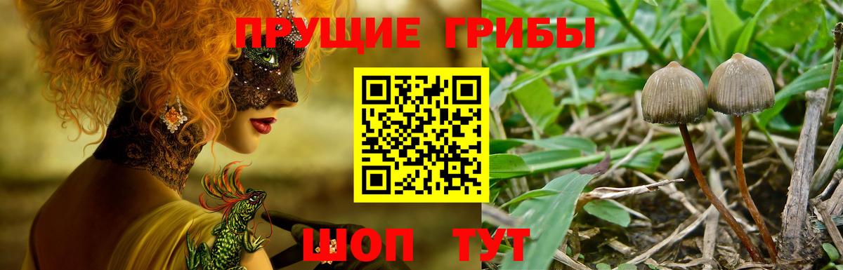 Галлюциногенные грибы Cubensis  Галлюциногенные грибы Cubensis  наркотики  Вход с VPN  Еманжелинск 