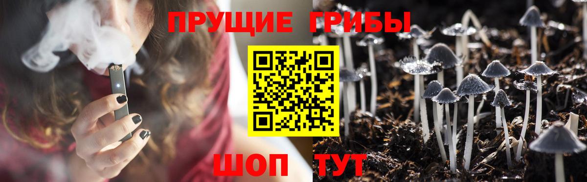 Галлюциногенные грибы Psilocybine cubensis  Еманжелинск  цена   Псилоцибиновые грибы Psilocybine cubensis 