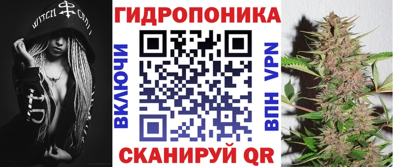 Шишки марихуана сатива Еманжелинск